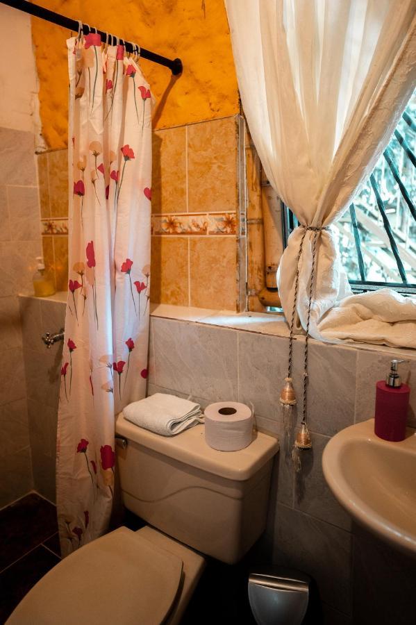 Chalet Ecoturismo La Nohelia Jericoc  Exterior photo